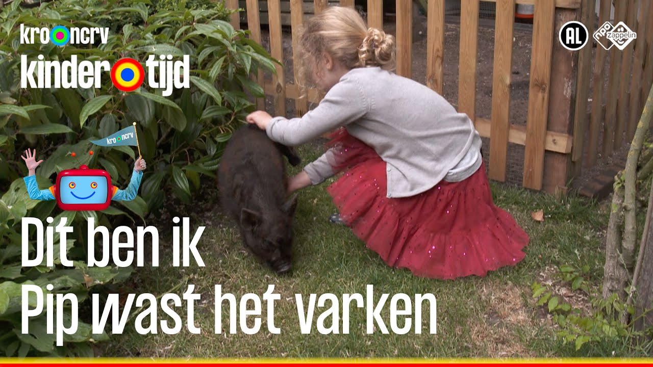 Pip wast haar varken 🐷🐷 (Kindertijd KRO-NCRV)
