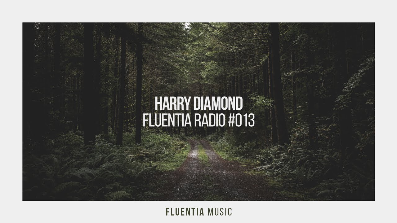 Harry Diamond - Fluentia Radio #013 (Progressive House / Melodic House & Techno Mix)