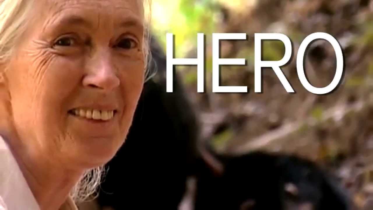 Jane: A Snapshot