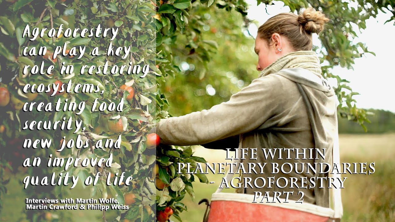Agroforestry in UK & Sweden - Wakelyns, Martin Crawford etc - 