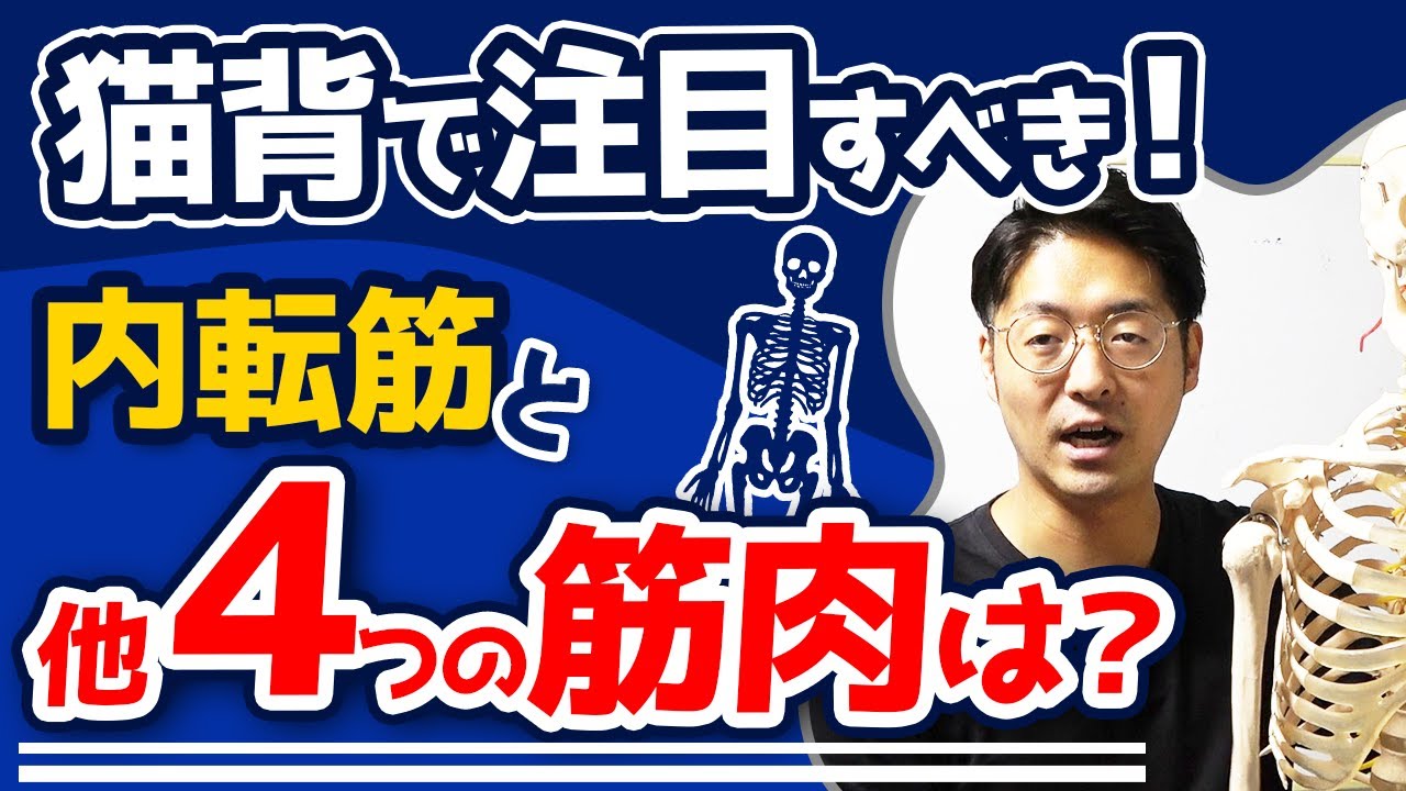 【猫背治療】胸腰椎を伸展させるための筋肉視点での臨床思考