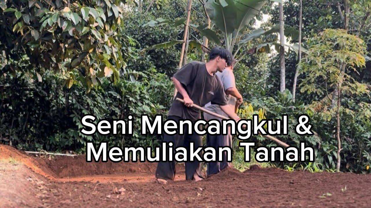 Seni Mencangkul dan Memuliakan Tanah ala Permakultur 