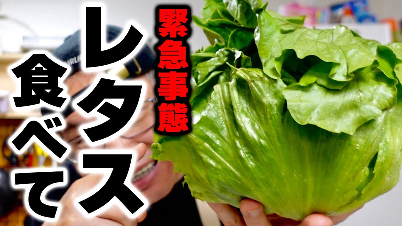【材料1つだけ】今買わなきゃ損！激安のレタスがいくらあっても足りなくなる『さっぱりレタス炒め』の作り方