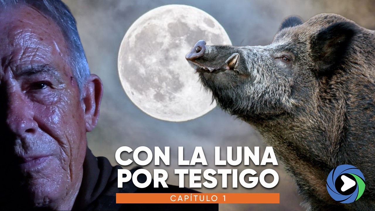 Con la luna por testigo | Capítulo 1 I Esperas de jabalí