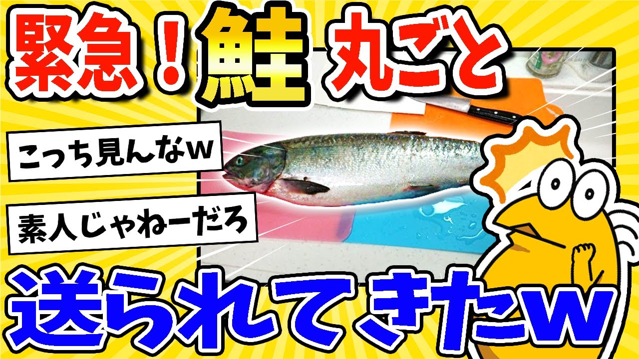 【2ch面白いスレ】緊急！実家から鮭丸ごと送られてきたwww