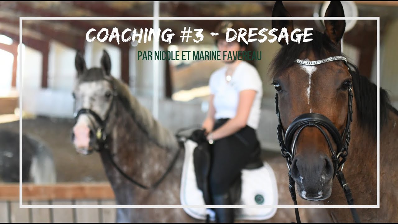 COURS JDR #3 - Dressage x Les Ecuries Favereau