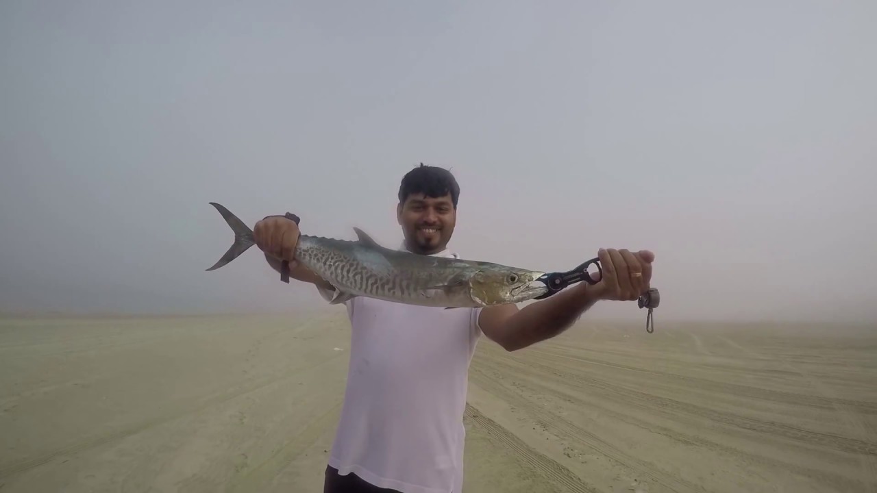 Qatar inland sea Epic Barracuda fishing 10/11/2016