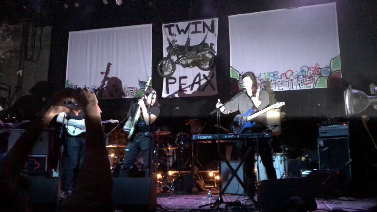 Post Animal - Dirtpicker Live with Joe Keery