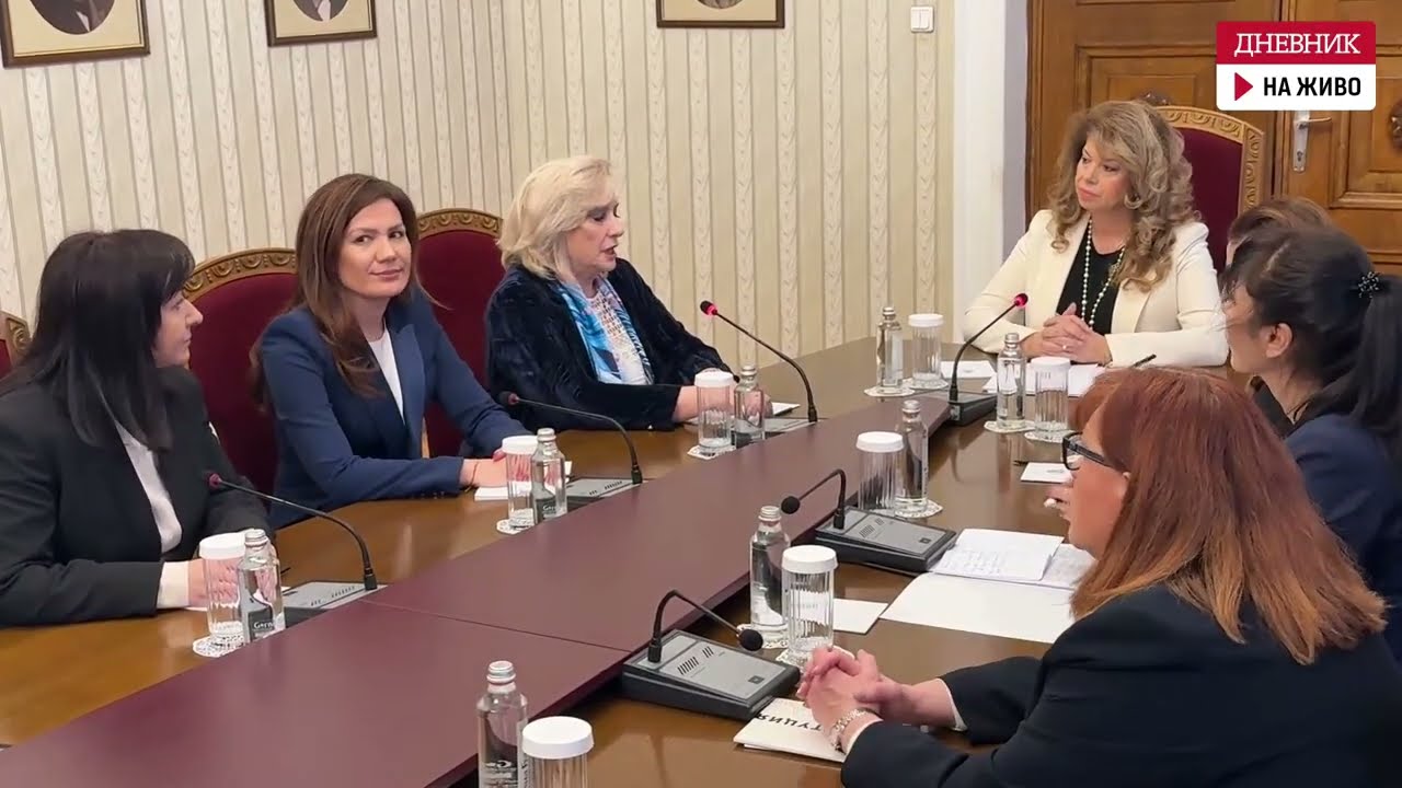 На живо: Консултациите на Илияна Йотова с ДПС-Ново начало