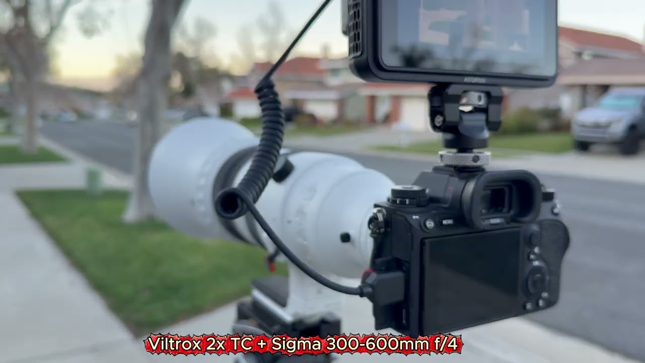 Viltrox 2x TC with Sigma 300-600mm f/4 FE mount.