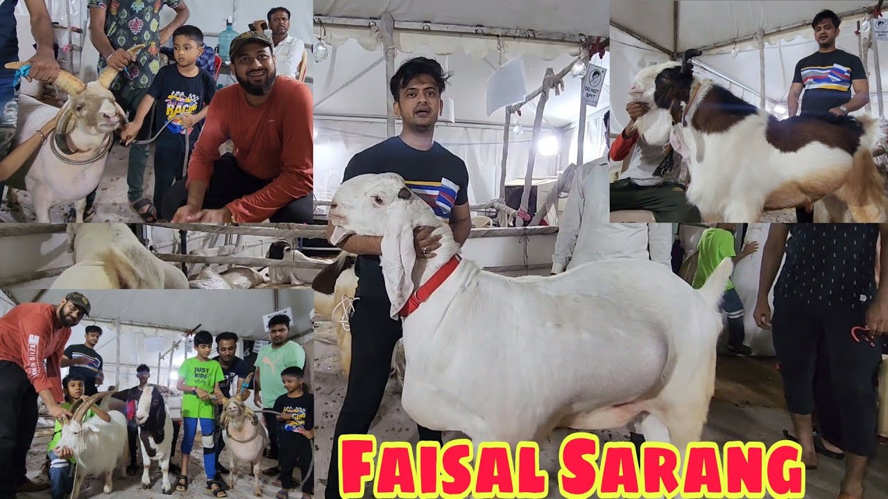 Launching Raess 2022 | 185 Kg Zam Zam | Many More At Faisal Sarang Collection Kurla Mumbai.