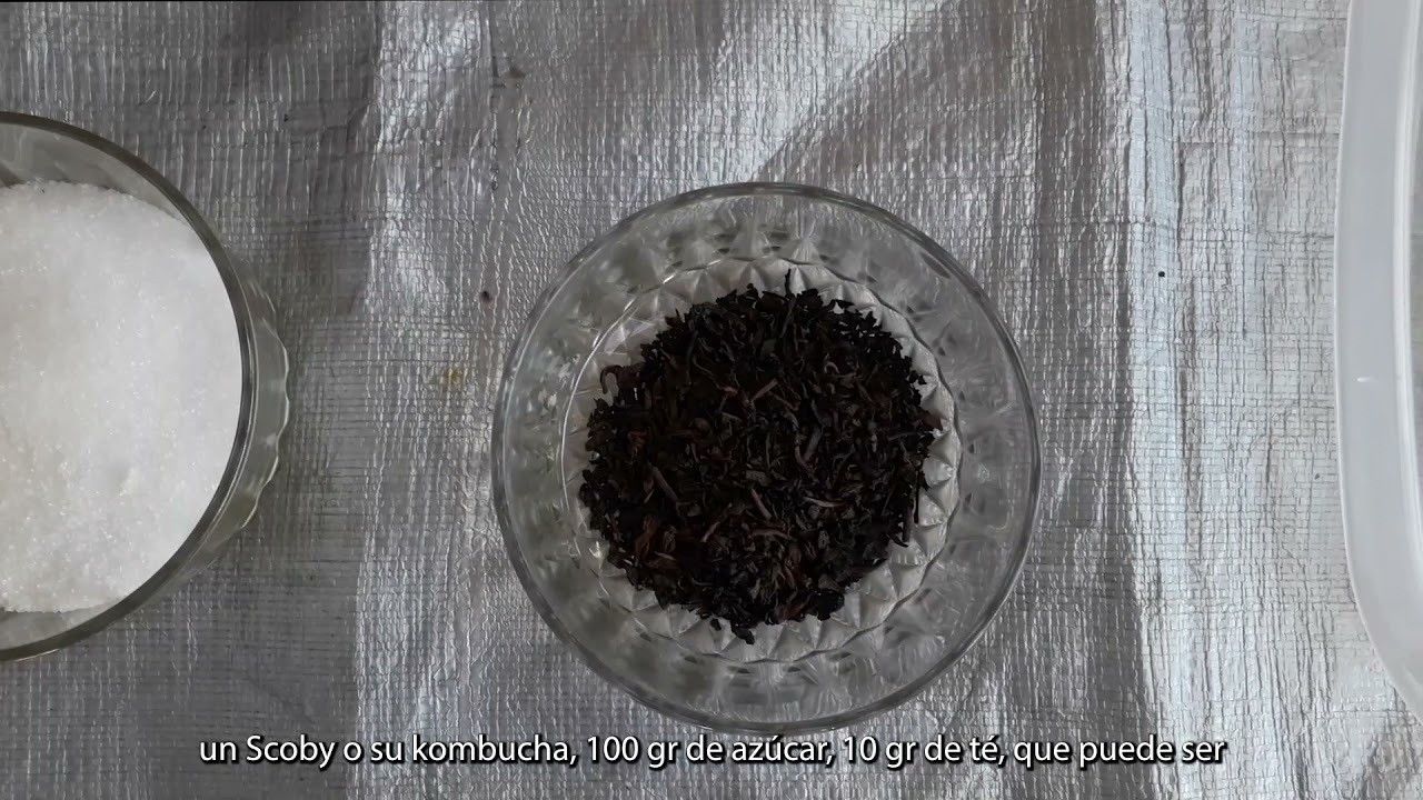 Produce tu propio Biotextil desde tu casa y utilízalos en tus diseños