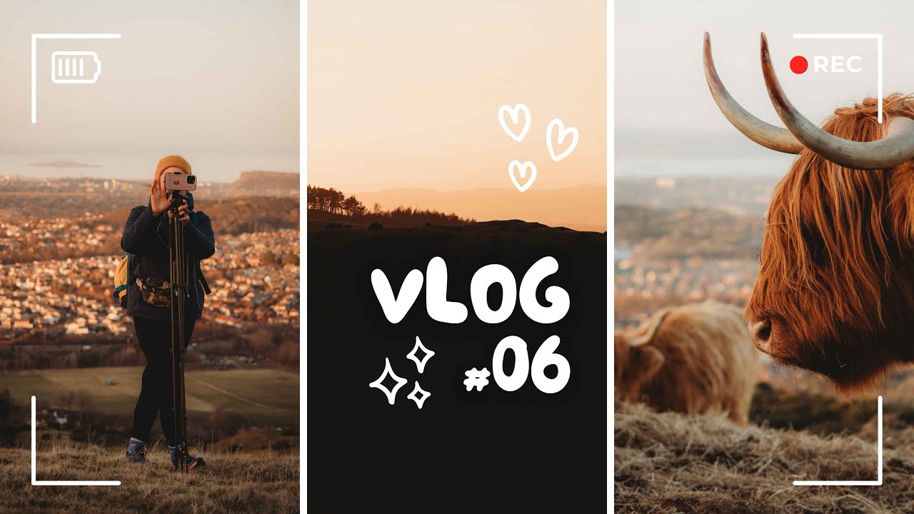 VLOG #06 Szkockie krowy, Scony i Zachód słońca 🤎🧡🤎