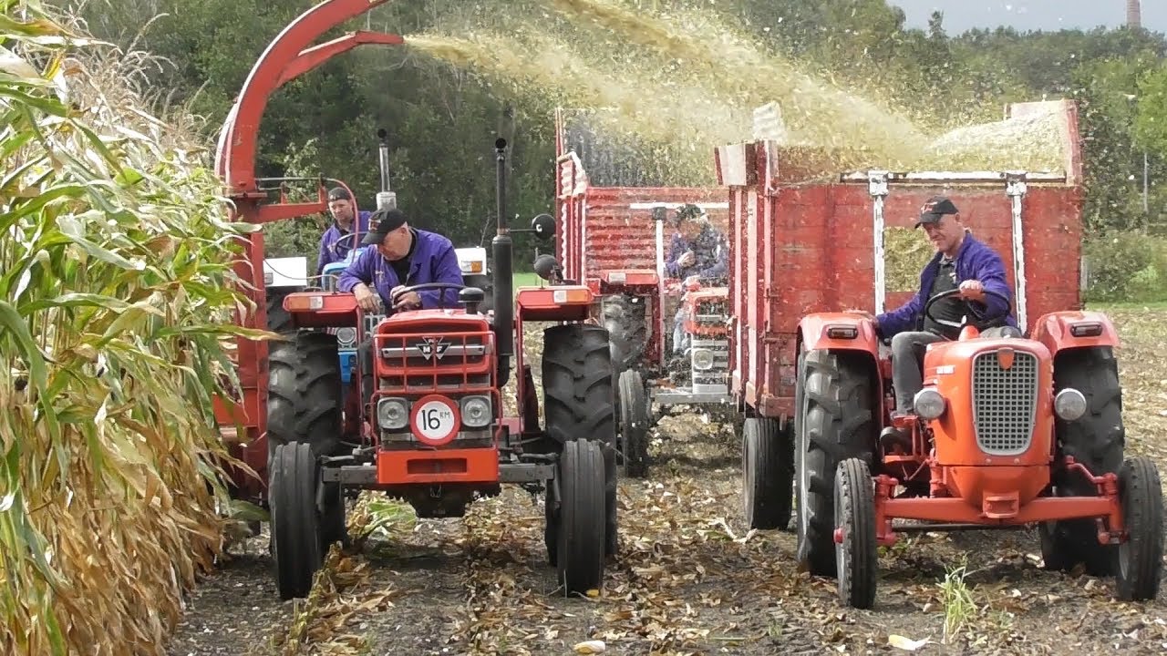 Classic harvesting Ossel 2019