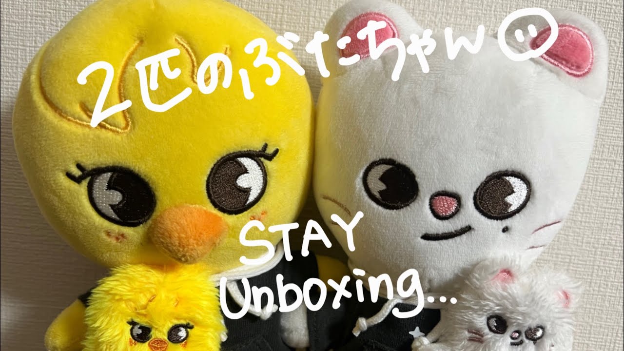 STAY🐥🥟🐰🐶Stray Kids World Tour dominATE JAPAN グッズ開封