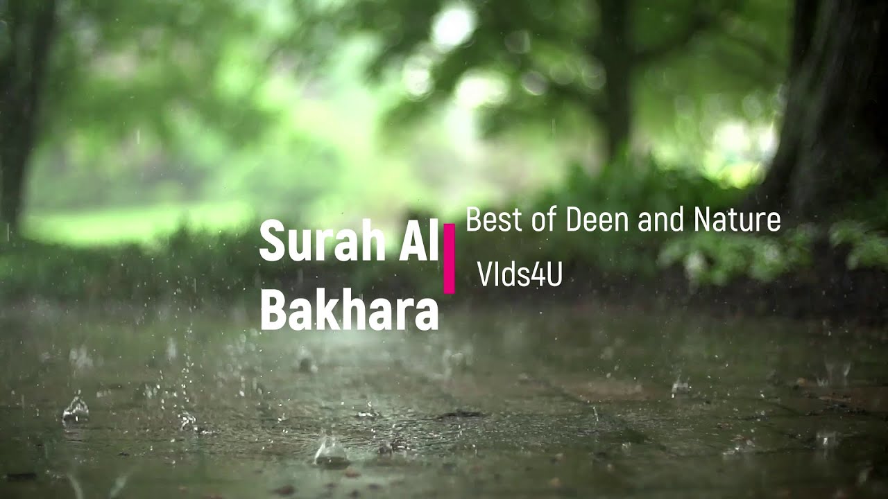 Surah Al Baqarah || Beautiful Recitation by Islam Sobhy with Relaxing Rain sounds.