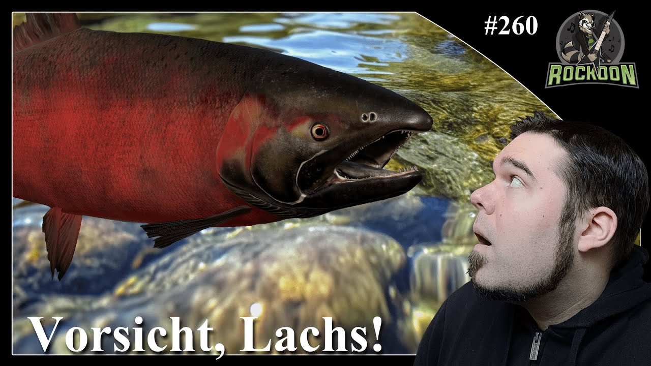 Lachslawine am Morgen| Jama/ Yama River | Russian Fishing 4 | #koontainment