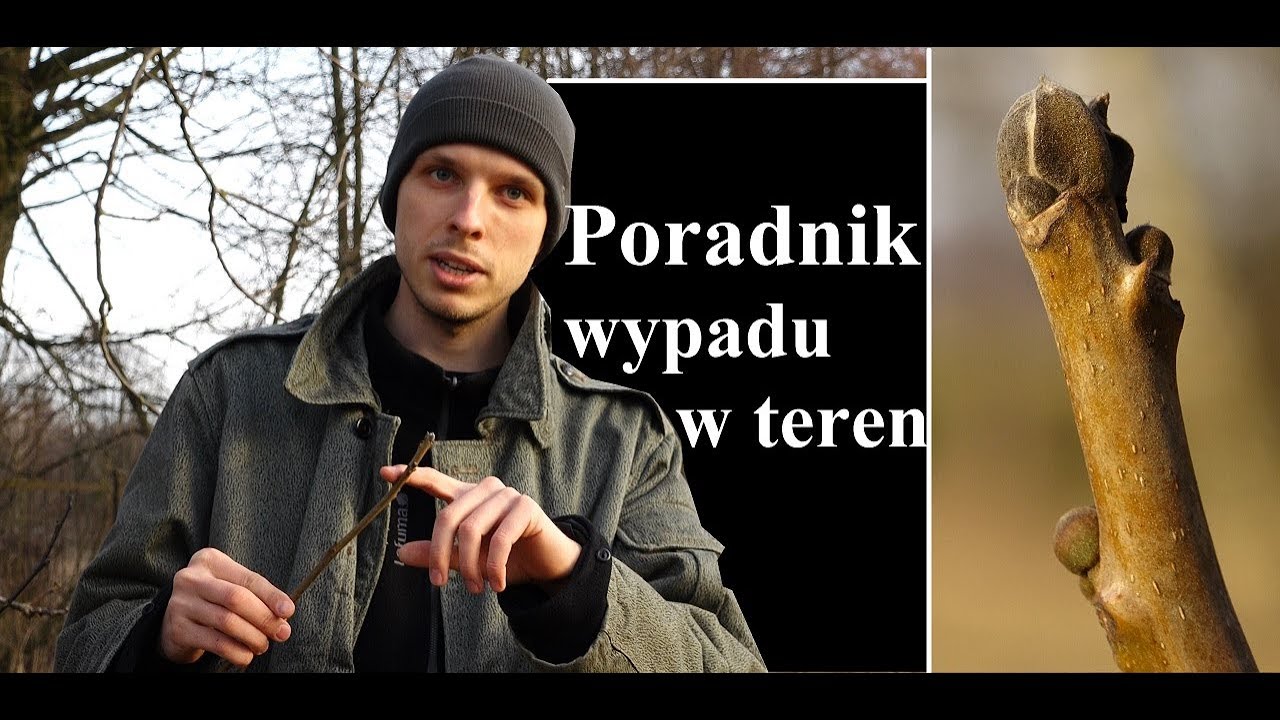 Zimowe rozpoznawanie drzew 4 - Wypad w teren 4K