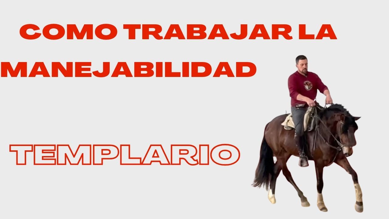 Así entrené a mi potro desde cero en solo 2 meses