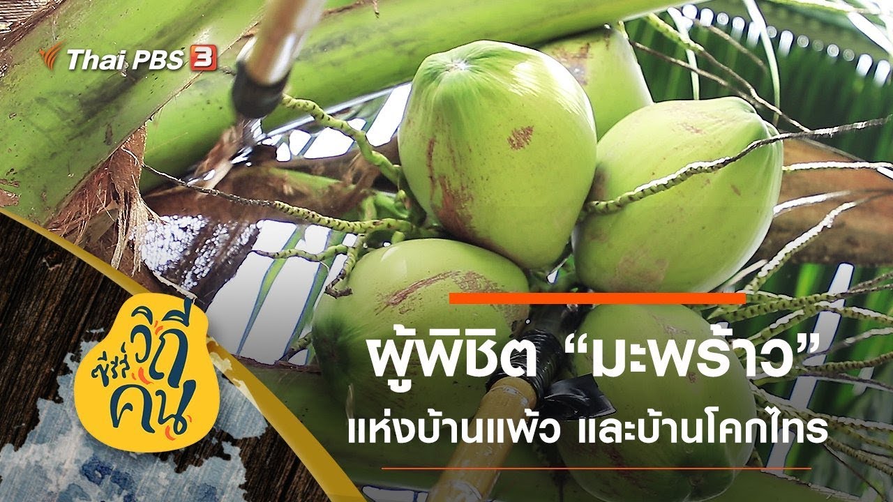 [Live] ผู้พิชิต 