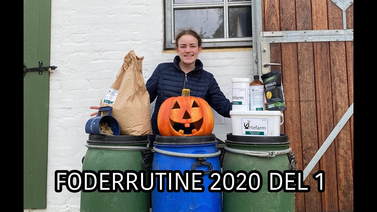 FODERRUTINE 2020 PART 1 - IDA SKAFTE OG HESTENE