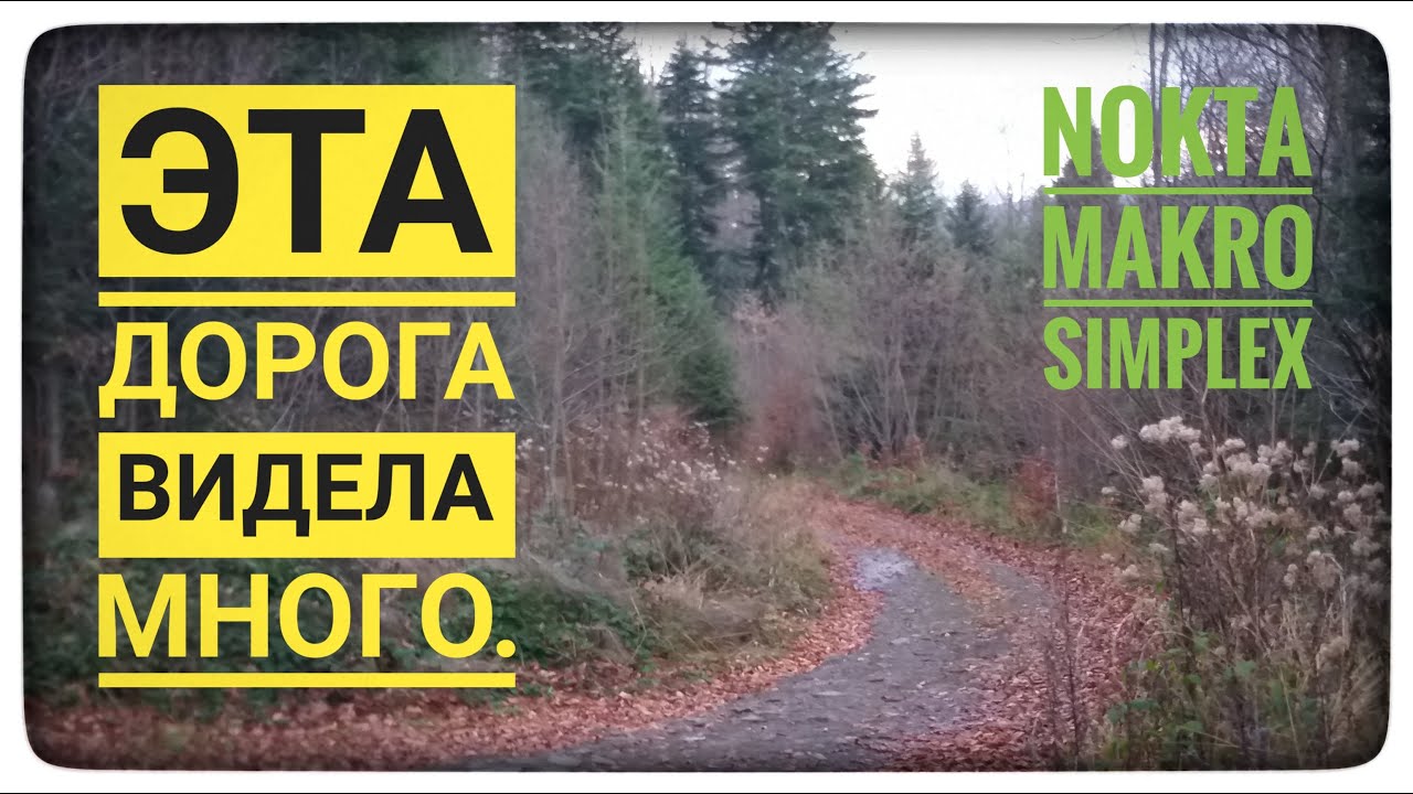 Коп в Карпатах. Старая дорога нас порадовала. Nokta Makro Simplex. Я нашёл что искал. Коп. Поиск