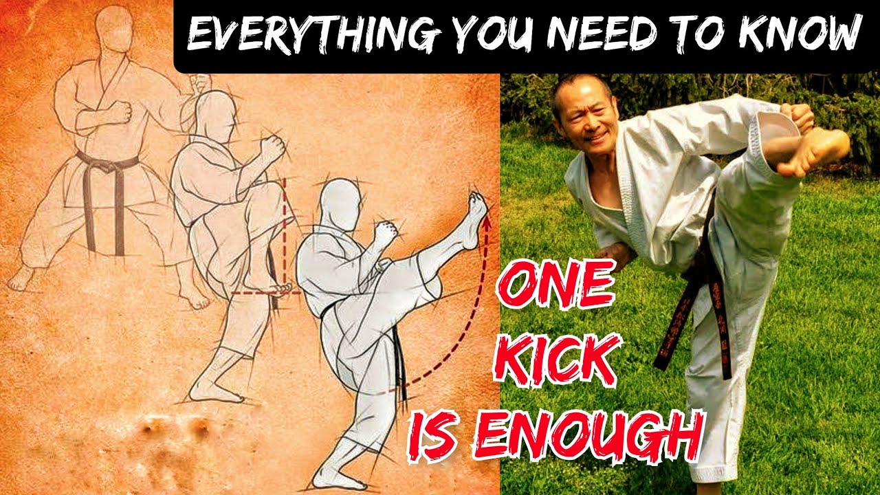The Perfect Front Kick. by Grandmaster Takeshi kitagawa (concept , Exercises & drills)