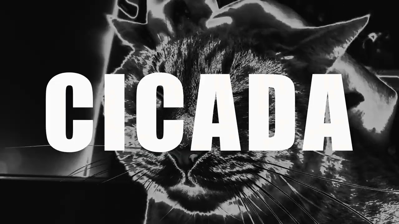 CICADA - BODYANDSOUL - DEMO