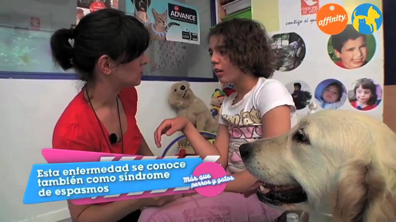 Más que mascotas - Fundación Síndrome de West - Más que perros y gatos 4 | Fundación Affinity
