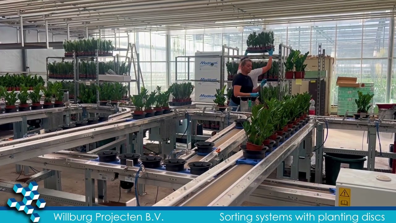 Willburg Projecten B.V. - Vison sorting system with plant discs - 2025