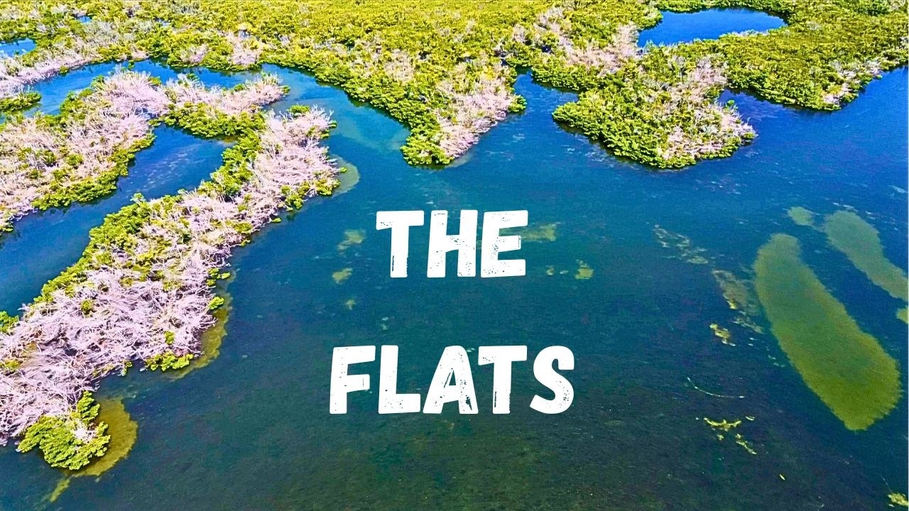 2 Hours Fishing the Flats | Charlotte Harbor Fisherman