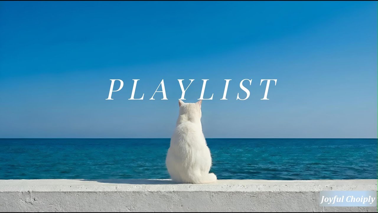 𝙋𝙡𝙖𝙮𝙡𝙞𝙨𝙩 내 마음 이미 여름 휴가 중 💨🌬️🏖️ | Cozy Beach Vibes