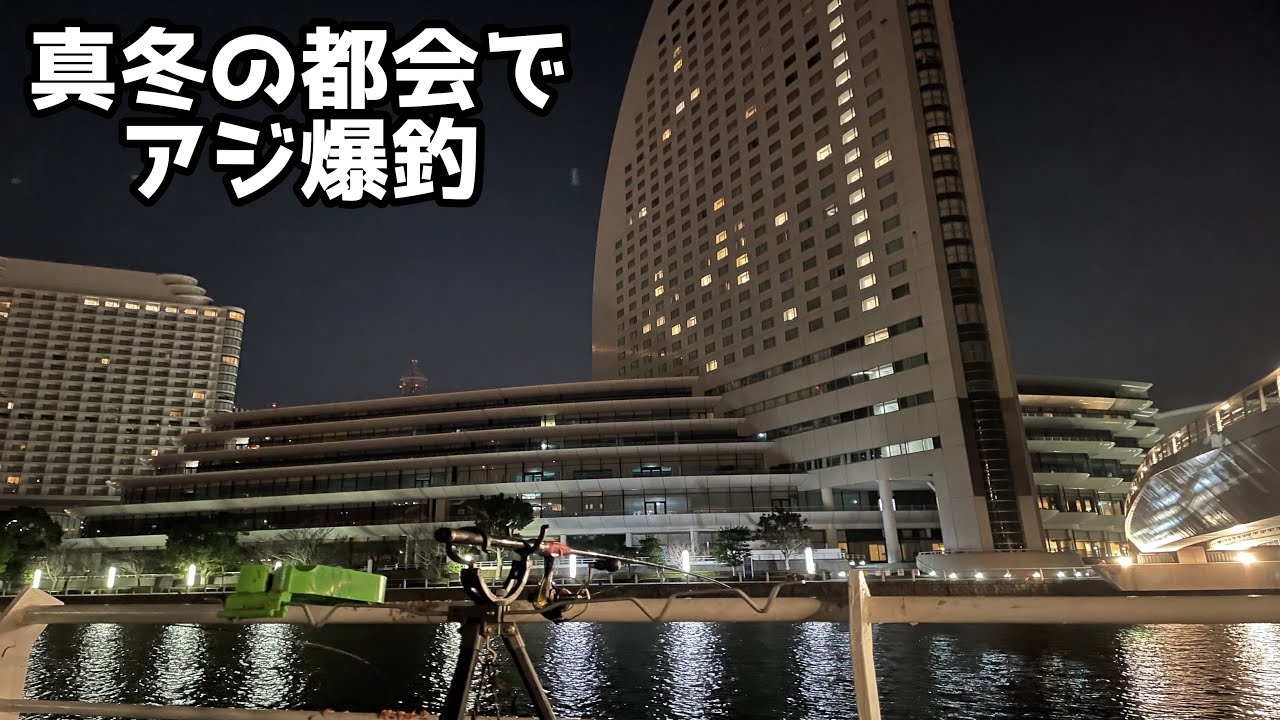真冬の都会でアジ爆釣