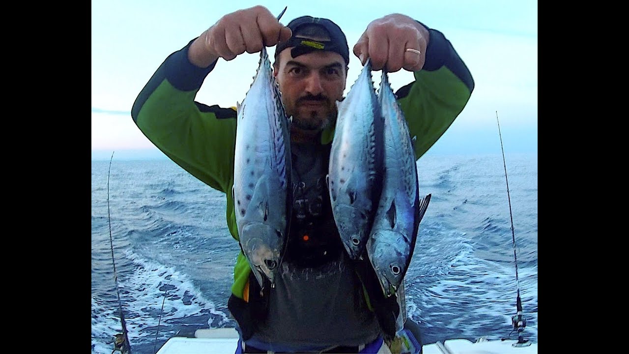 Traina Costiera: velocità e batimetrica fondamentali per un buon risultato