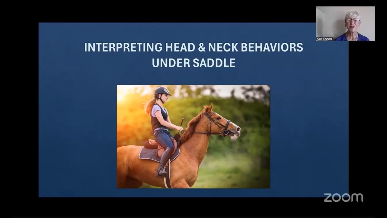 Live with Dr. Sue Dyson: Interpreting Behaviors of the head & Neck Under Saddle