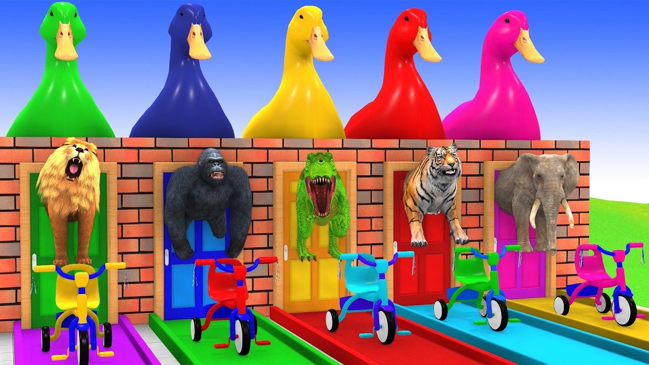 Long Slide Game with Cow Elephant Gorilla Hippopotamus Tiger 3d Animal Game Funny 3d Animals