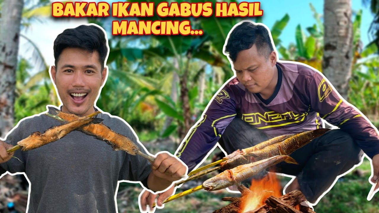 NYARIS BONCOS‼️SEHARIAN CASTING IKAN GABUS AKHIRNYA ADA JUGA UNTUK LAUK MAKAN