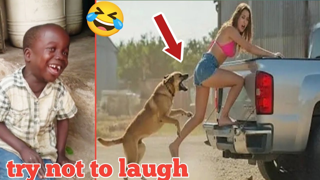 Try Not To Laugh Challenge🤣 | Crazy Funniest Video Ever In The World Ep. 77