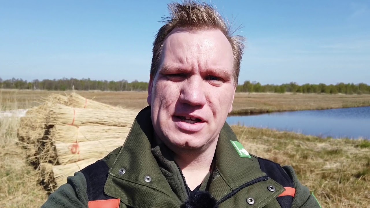 Virtuele excursie door De Weerribben