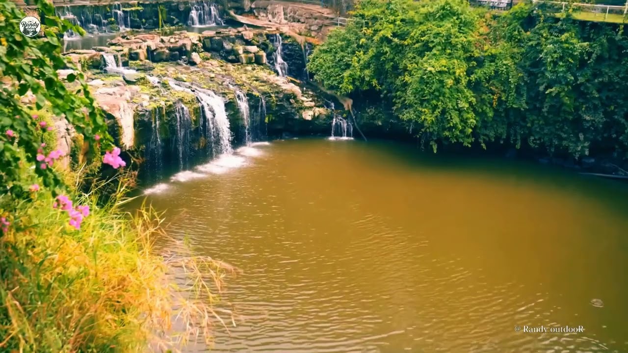 4k Nature relaxing water sounds in forest of Nature outdoor