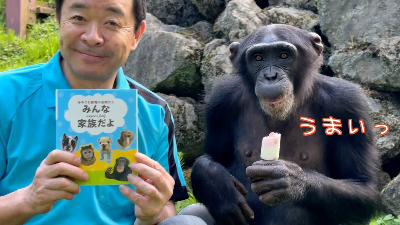 「天才！チンパンジーパンくん・ポコちゃん・プリンちゃん」【みやざわ劇場】動物たち勢揃いの写真集発売決定‼️宮沢さんの秘密の裏側見せちゃいます！ニューモ！？