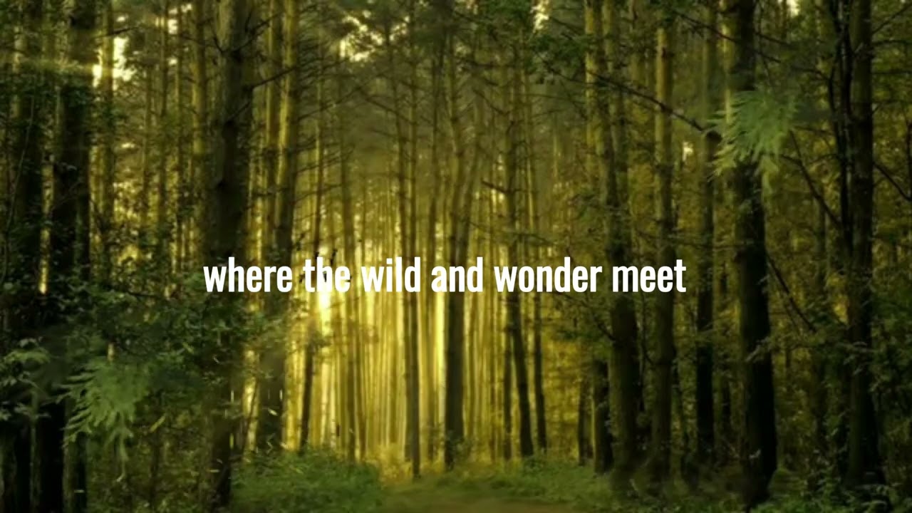 Easy listening music for mood booster : Nature's Embrace