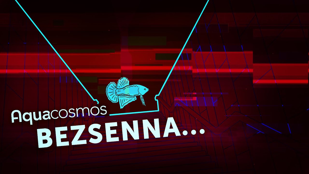 Aquacosmos - BEZSENNA... (Cisza nocy w dźwiękach | alternatywna elektronika) Lyric Video