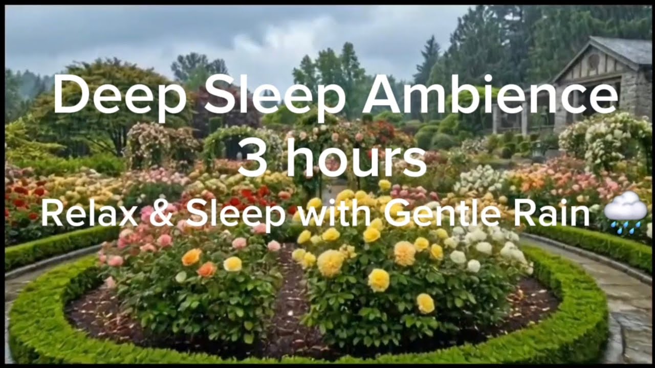  3 Hours Relaxing Sleep Ambience”“Soft Rain Falling in Blooming Garden | Deep Sleep 