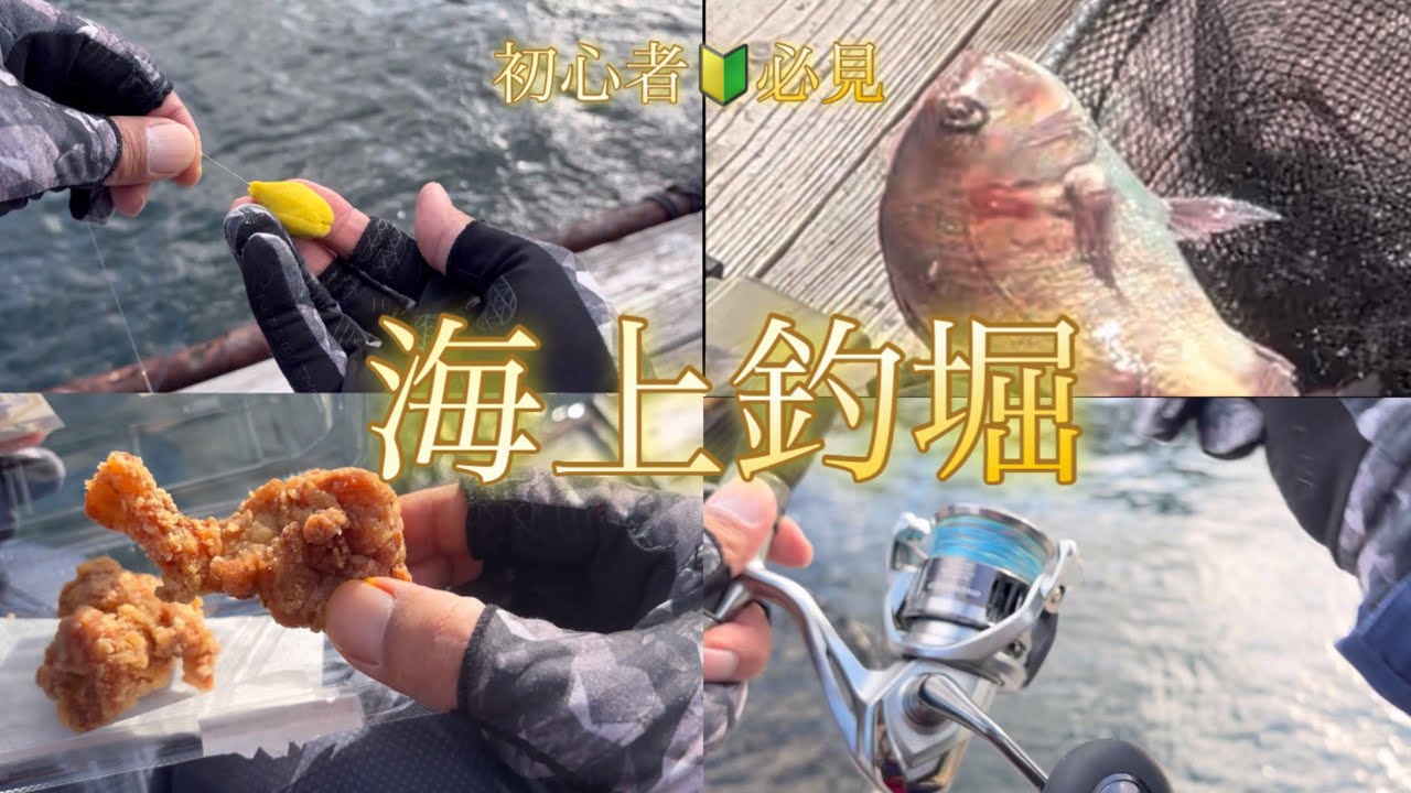 【海上釣堀】初心者必見！家族で楽しめる！海遊の社長からオススメの餌やラインなど。＃海上釣堀＃阿多田島＃海遊