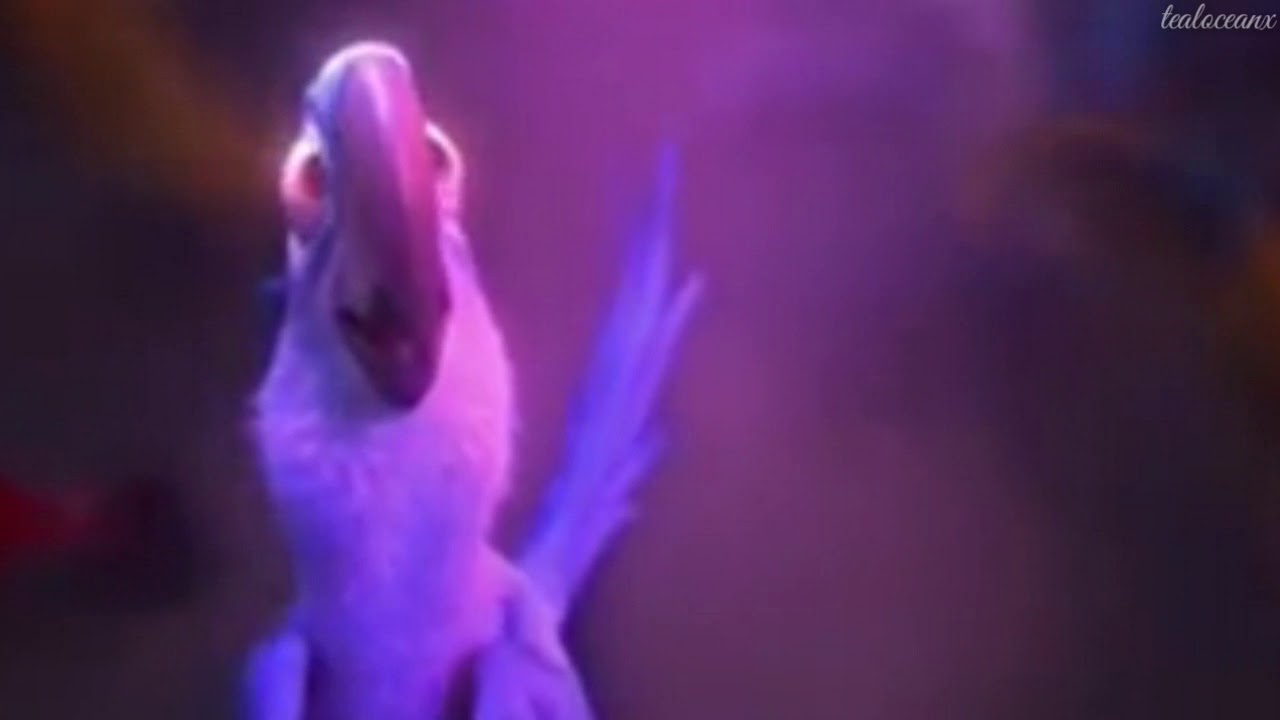 Rio || Hot Wings || Jewel Singing (Different Sound Effects)