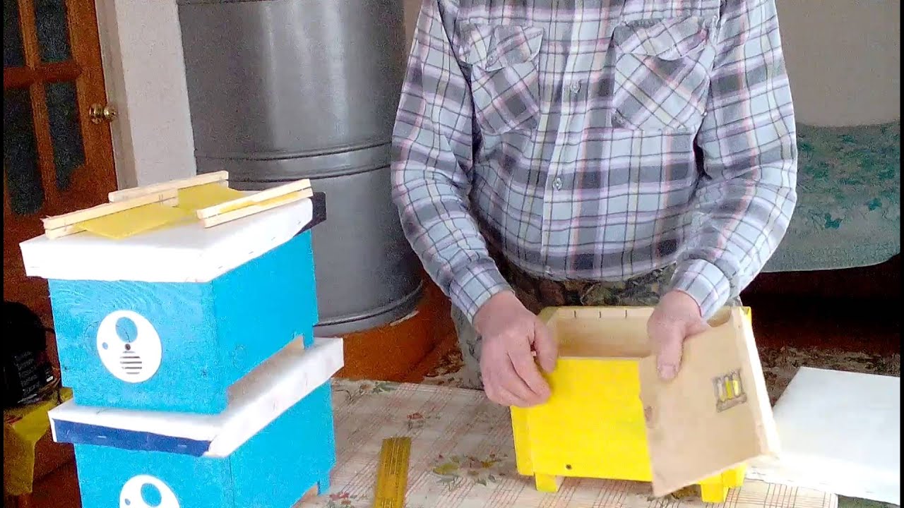 МОИ НУКЛЕУСЫ И ИХ РАЗМЕРЫ.🔥🔥🔥