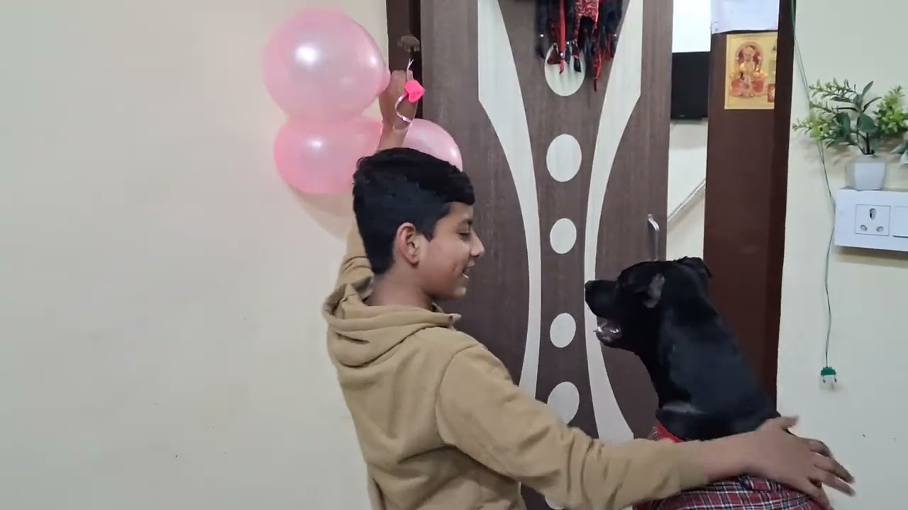 चेरी की फनी वीडियो देखो हंसी बहुत आएगी🐕👀😂🎈👍 #video # viral #dog #funny video # punctual Cherry 