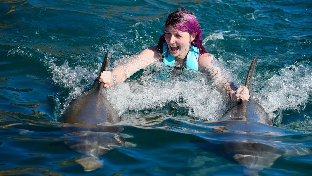 A DOLPHIN Gave ME A KISS In St Kitts! - Cruise Vlog Pt 1 - QueenOfVikings