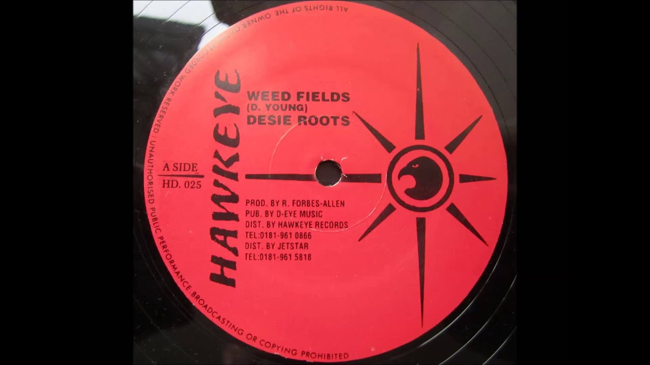 Desi Roots - Weed Fields